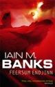 Kansi: Iain M. Banks: Feersum Endjinn