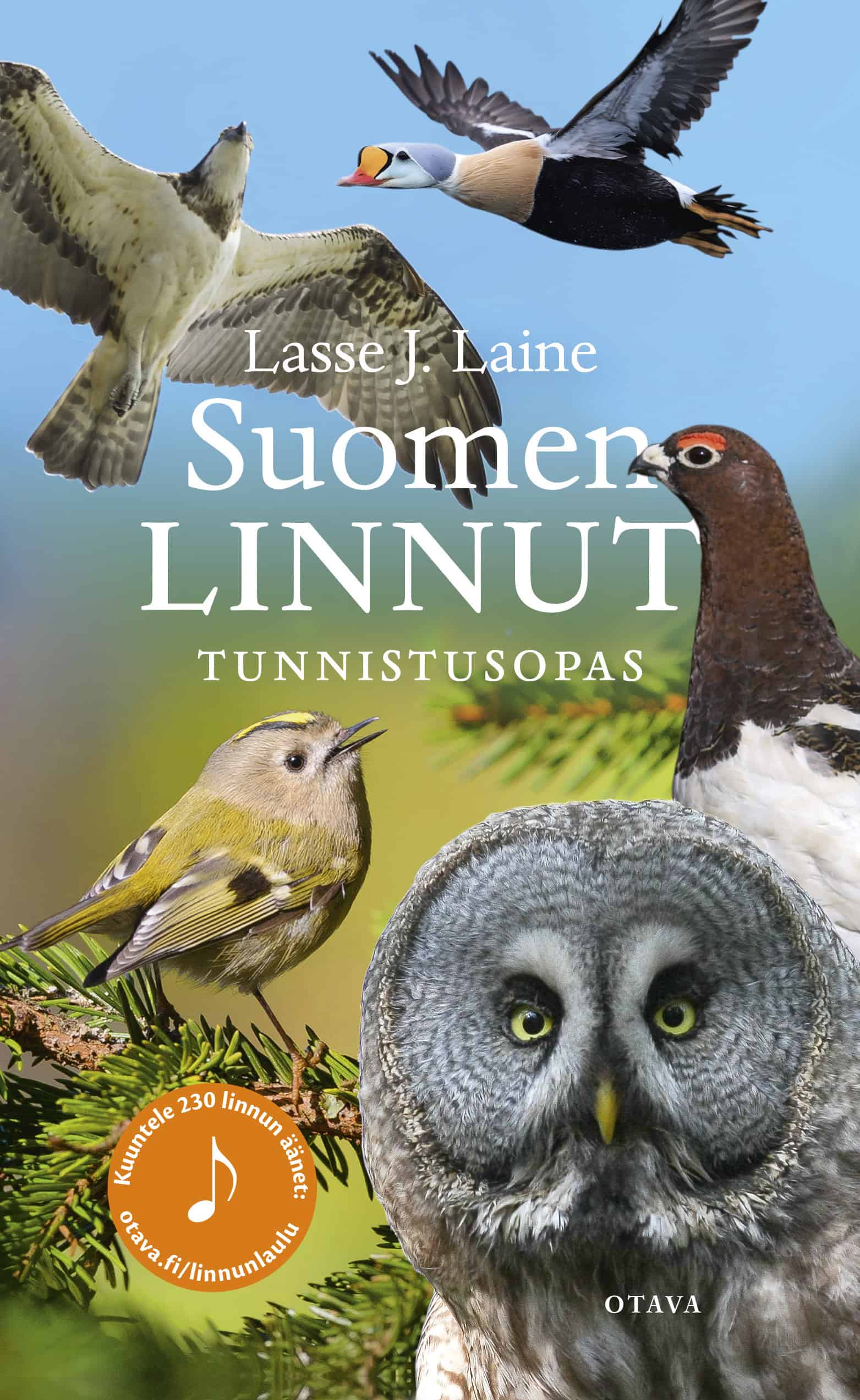 Suomen linnut : Tunnistusopas
