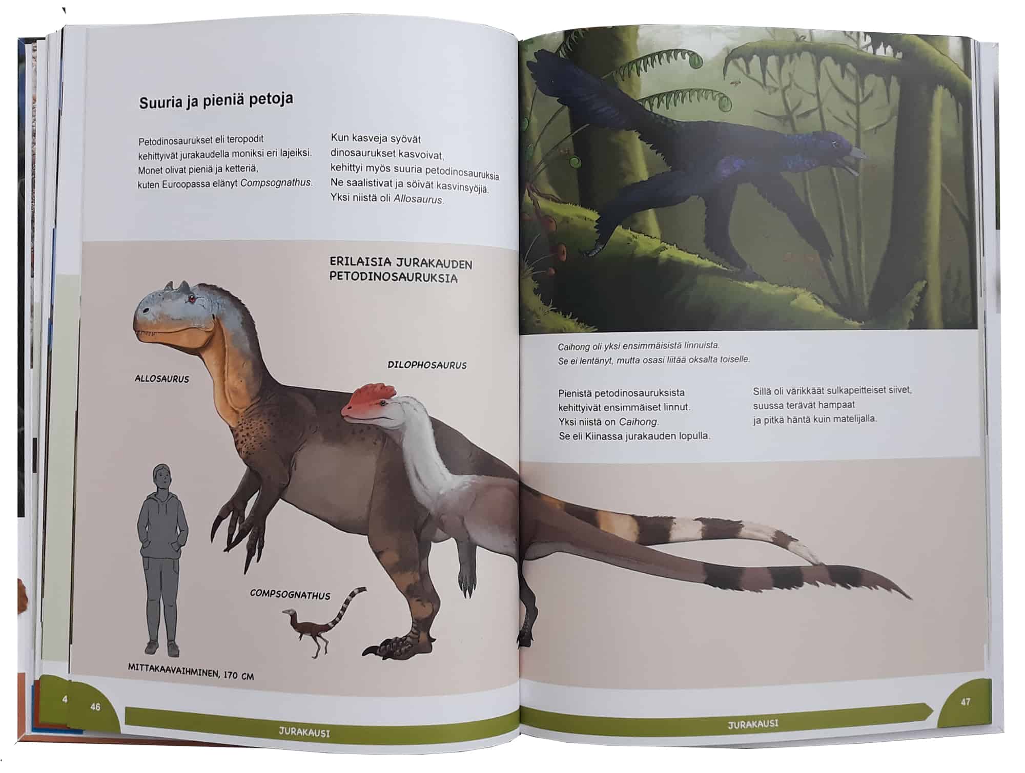 Esimerkkiaukeama Dinosaurusten aika -kirjasta