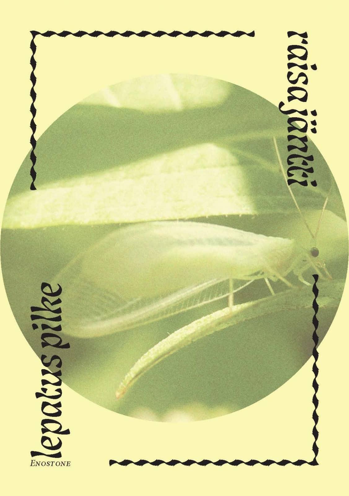 lepatus pilke -runokokoelman kanessa on pienen, läpikuultavan siivekkään hyönteisen kuva.