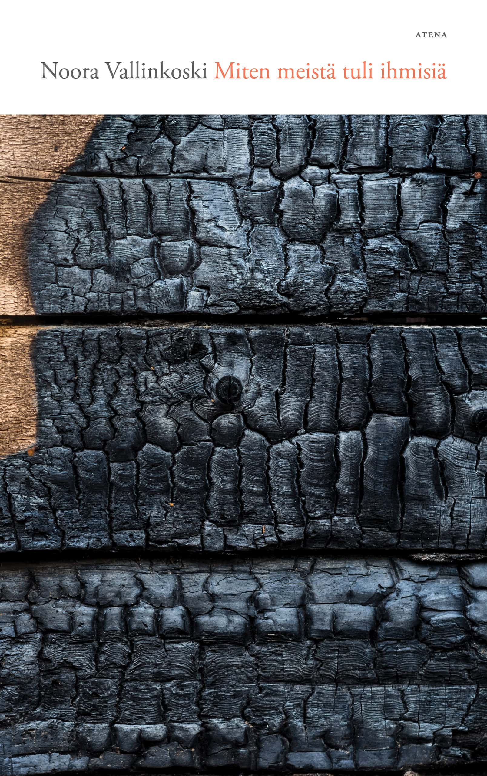 Miten meistä tuli ihmisiä -kirjan kannessa on mustaksi hiiltyneitä lautoja.