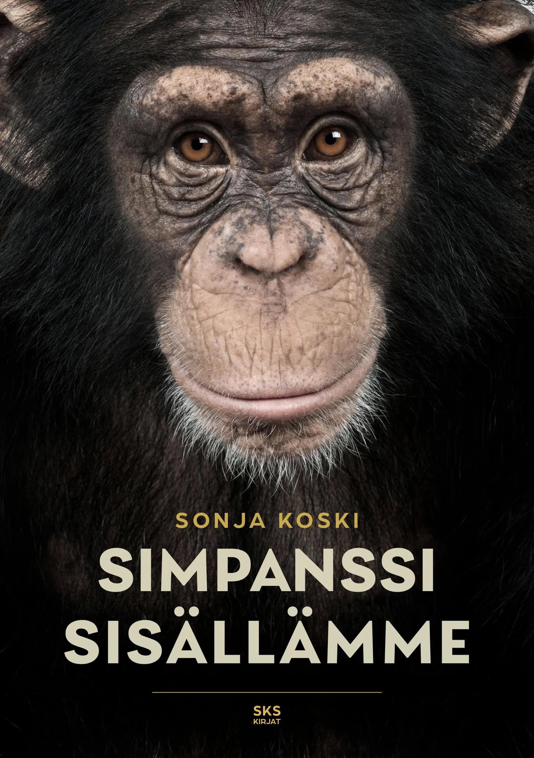 Simpanssi sisällämme -kirjan kannessa on valokuva simpanssin kasvoista.