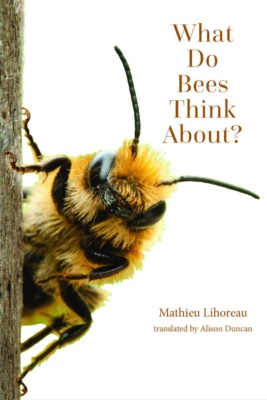 What Do Bees Think About? -kirjan kannessa on lähikuva mehiläisestä.