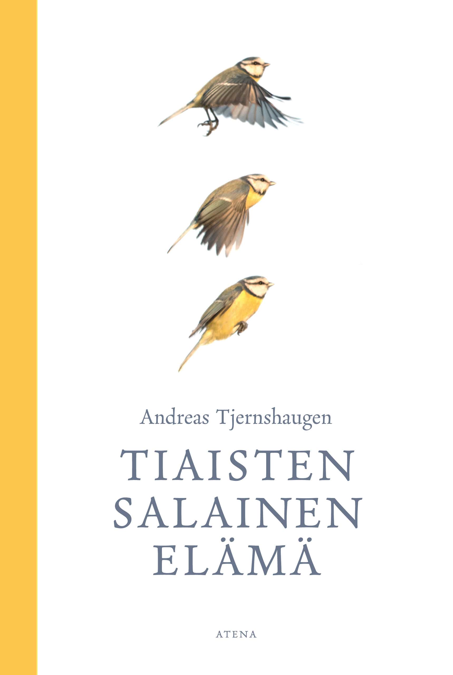 Tiaisten salainen elämä -kirjan kannessa on kolme piirrosta tiaisesta eri asennoissa.