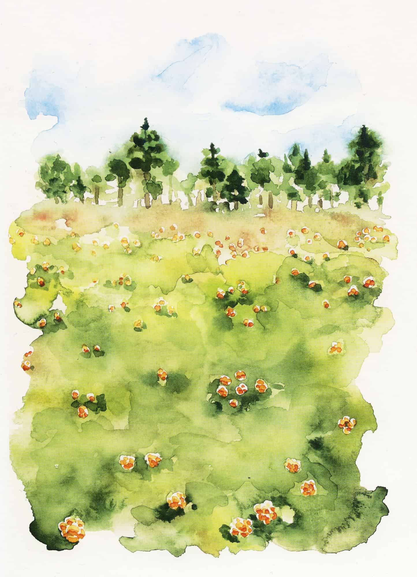 Lakkasuota esittävä vesiväriteos