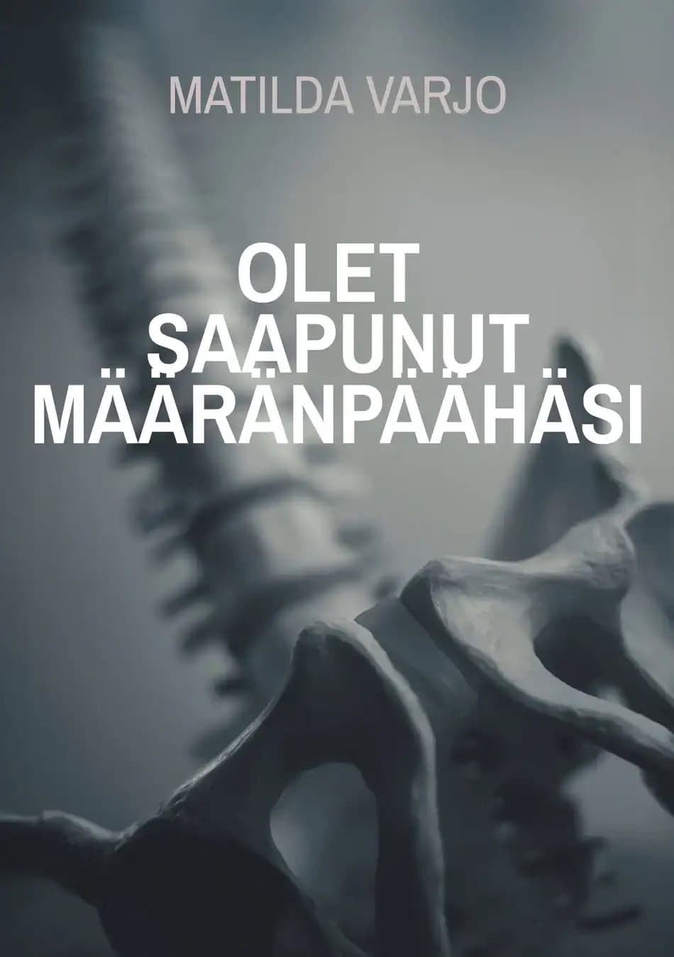 Olet saapunut määränpäähäsi -kirjan kannessa on mustavalkoinen kuva ihmisen selkärangasta ja lantion luista.