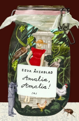 Amalia, Amalia! -kirjan kannessa on piirros lasisesta säilykepurkista, jonka sisällä on vihreitä kasveja, valkoinen huvila, kolme naisnukkea ja pari kanaa. Purkin ulkopuolella on kameramieshahmo ja kovakuoriainen.