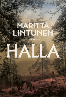 Hallan kannessa on Berndt Lindholmin maalaus Kesäilta, joka kuvaa 1800-luvun naisen tyyliin pukeutunutta ihmistä seisomassa metsän reunassa katselemassa alempana olevaa taloa. Kuva on sävytetty väriliu'ulla yläreunan sinisestä keltaisen kautta alareunan punaiseen.