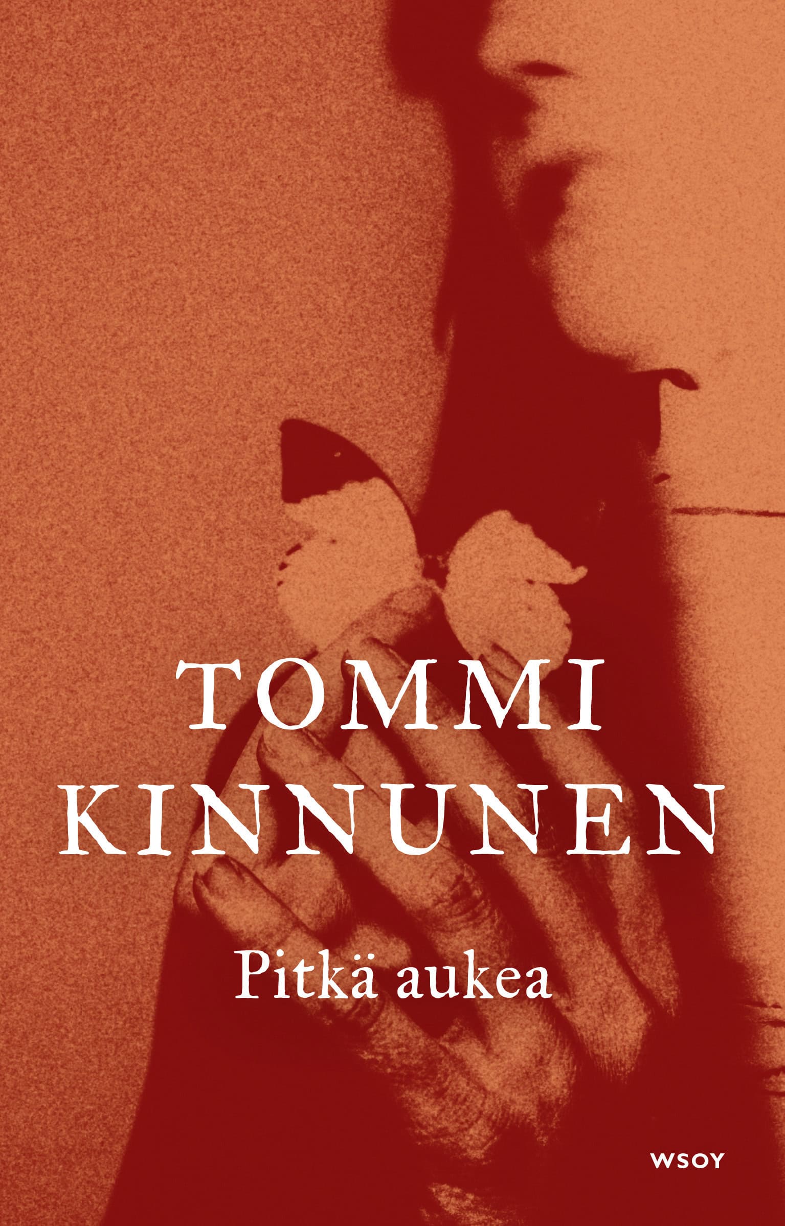 Pitkän aukean kannessa on oranssinsävyinne sumea kuva, jossa on perhosta pitelevä käsi ja osa ihmisen kasvoista.